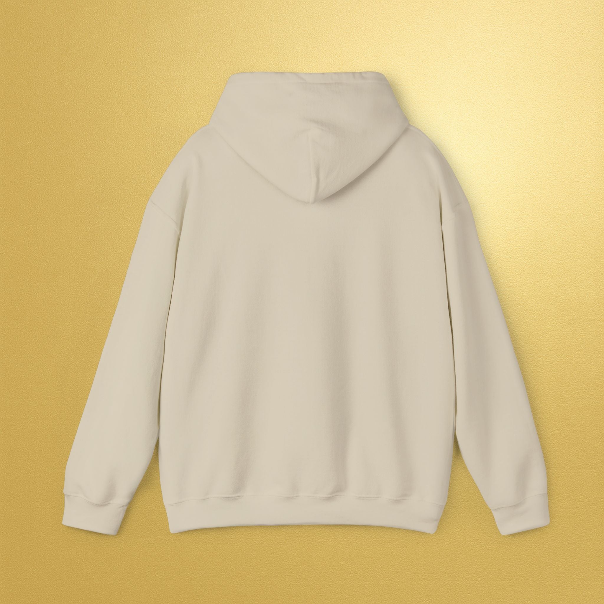 Radiate Joy Hoodie | Inspirational Pullover