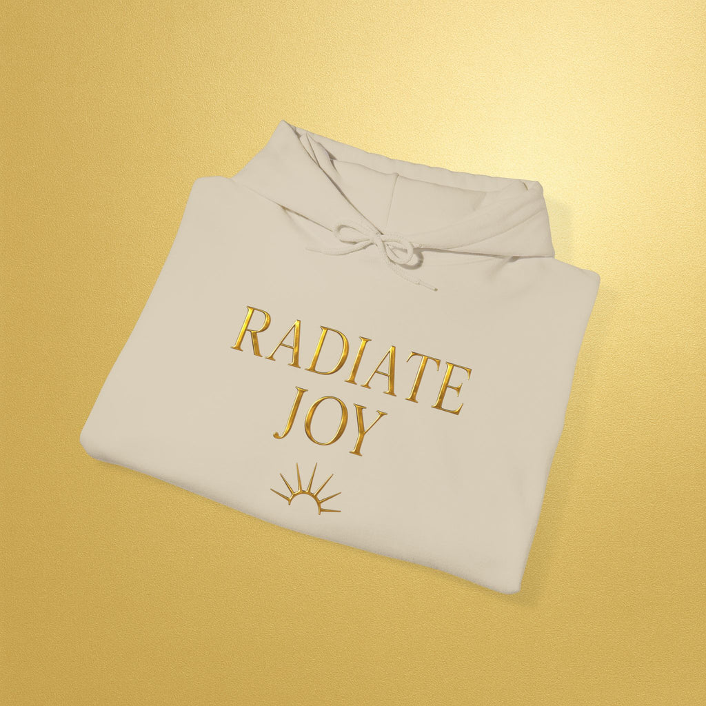 Radiate Joy Hoodie | Inspirational Pullover